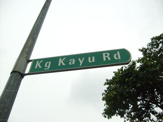 Kampong Kayu Road #100912